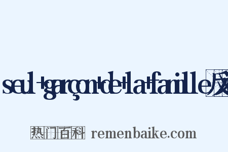 seul+garçon+de+la+famille反义词是什么意思的图片